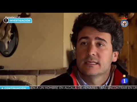 Requisitos para cazar en Andalucía: Todo lo que necesitas saber