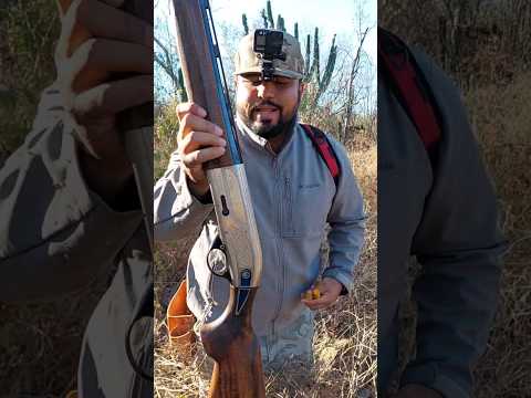 Alcance de escopeta calibre 20: ¿Cuál es su rango efectivo?