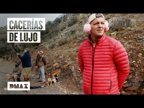 Descubre los mejores destinos de caza en España