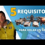 Drones con licencia en España: ¿Cuáles necesitan permisos?