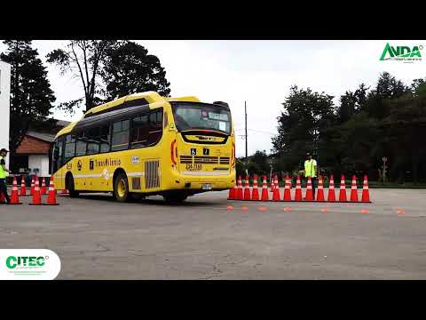 Descubre todo sobre la licencia C2: qué incluye y cómo obtenerla