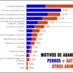 Abandono de perros de caza en España: ¿Cuántos son?