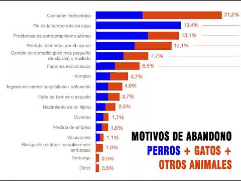 Abandono de perros de caza en España: ¿Cuántos son?
