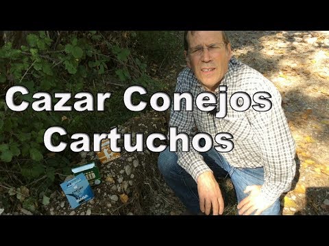 ¿Cuántos cartuchos se pueden tener en casa? Guía y consejos